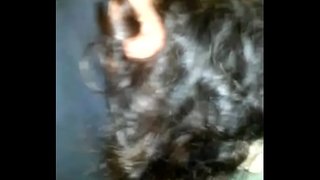 ���ារបំបែកសត្វលារបស់ខ្ញុំខុសច្បាប់